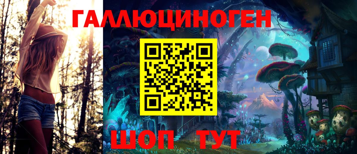 Псилоцибиновые грибы GOLDEN TEACHER  где продают наркотики  Большой Камень  Вход с VPN 