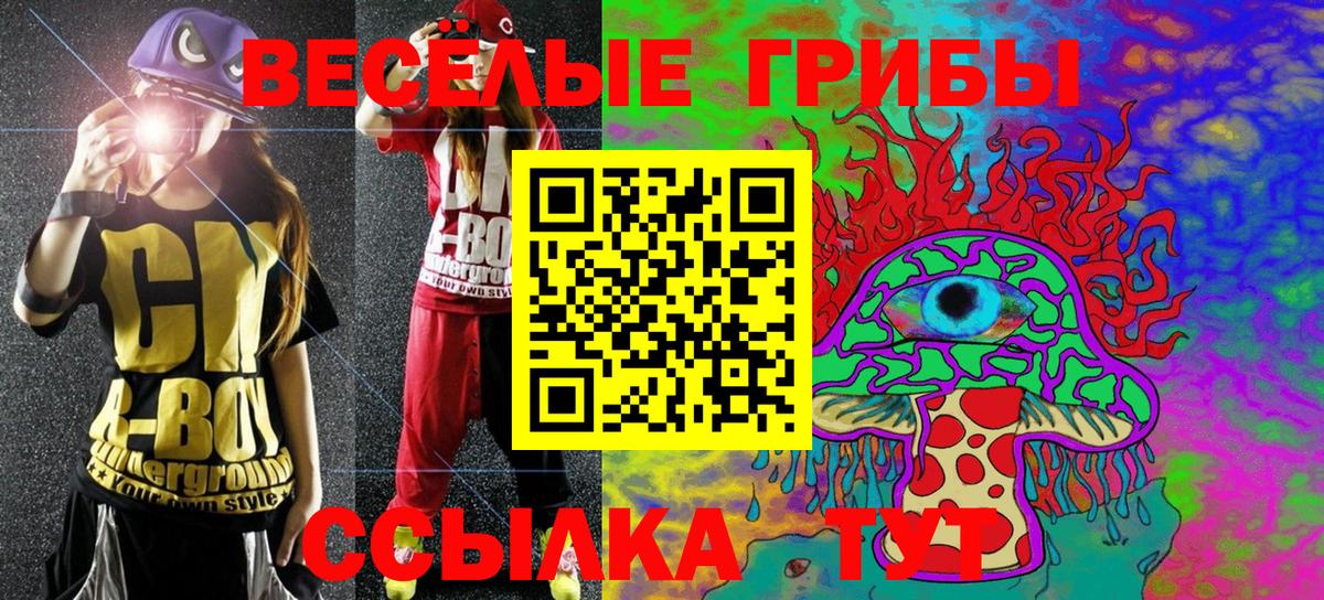Псилоцибиновые грибы мицелий Большой Камень